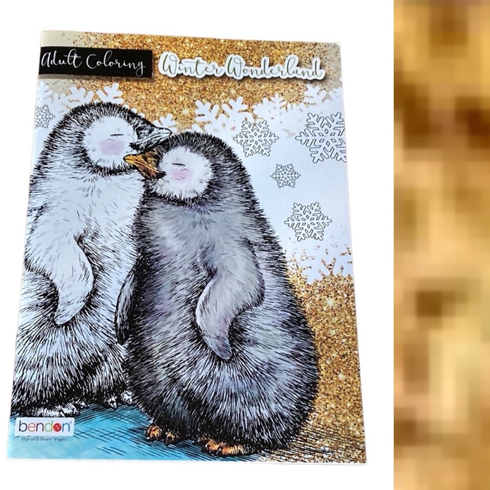Winter Wonderland Adult Coloring book